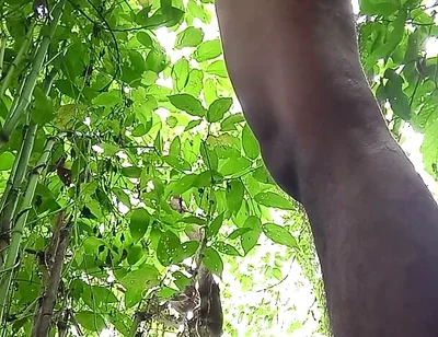 Jungle Masturbate I Need to Go Out for Horny