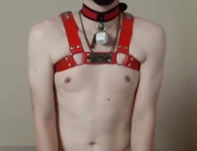 Needy Puppy Fucks His Toy Hard