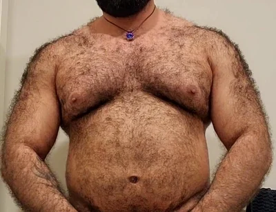 Bear Is Here