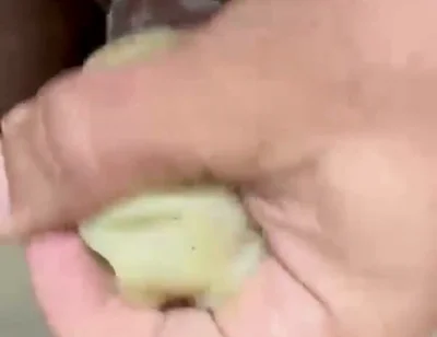 How to Use an Egg!