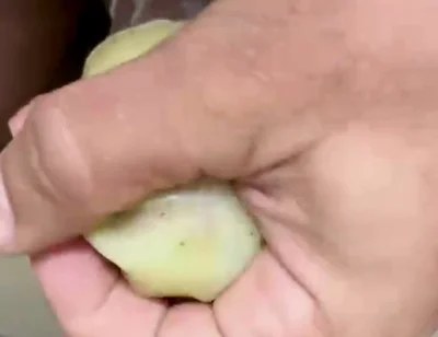 How to Use an Egg!