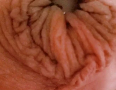 Into the Sarlacc Pit. Lee Przybylowicz Showing His Clitty Shrinkage