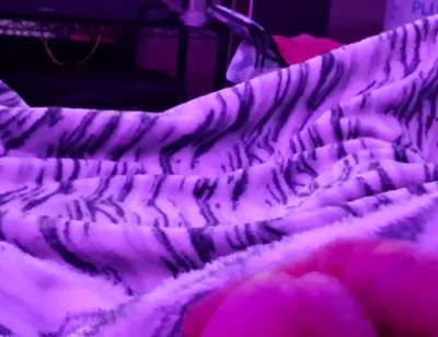 Horny in my purple outfit