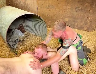 Two Piggies and the Farmer