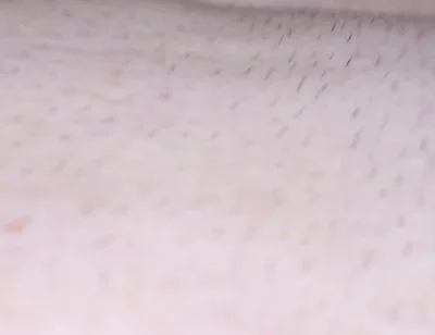 Daddy Bear Fucks Ass His Boy