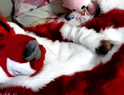 Jerking off and Showing Footpaws in Full-body Fursuit