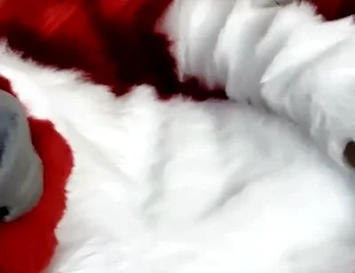Jerking off and Showing Footpaws in Full-body Fursuit
