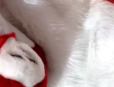 Furry in Full-body Fursuit Pisses on You, Then Cums Over Himself