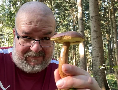 First in the Forest, Picking Mushrooms. and Then