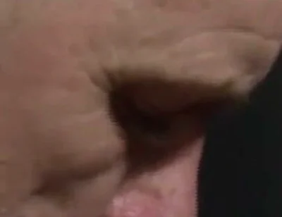 Bear Fucked Raw in Slin Byhairy Boy