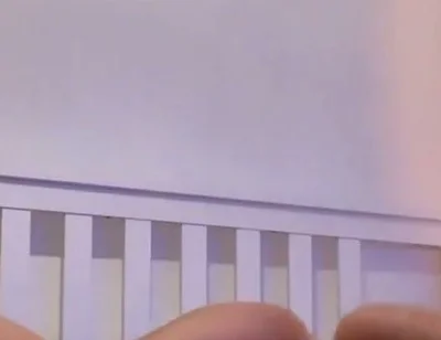 Flip Fuck