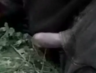Cute Jon Arteen Gay Twink Jerks off Outdoors, Dry-humps the Air, and Shoots Cum Through a Hole in His Pants