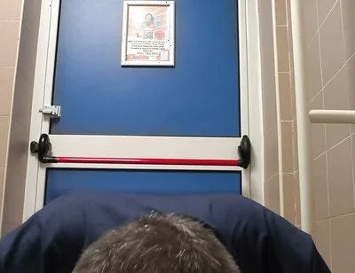 Licking Public Toilet