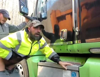 lumberjacks are having fun in the woods