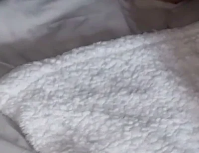 Amateur Horny Couple Take Neighbours 9 Inch Dick