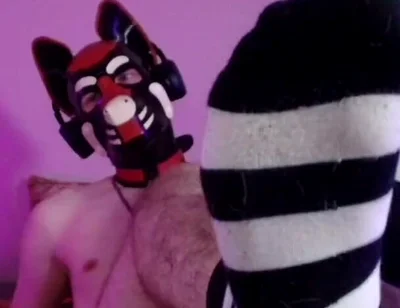 Bare Pup Paws Right in Your Face