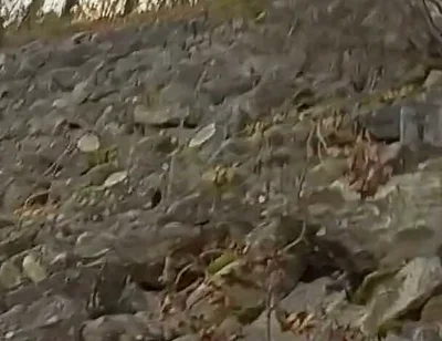 The Cute Guy Jon Arteen Pees Outdoors in This Compilation of His Hottest Peeing Moments