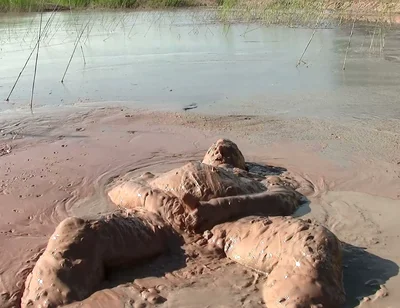 Splish Splosh - What a Mud-jump!