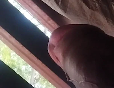 Your Good Morning Erect