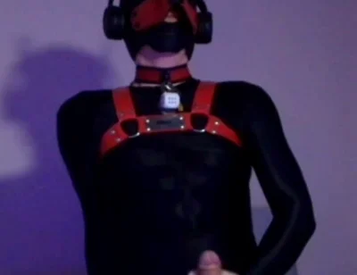 Remote Controlled Puppy Whimpers While Jerking off