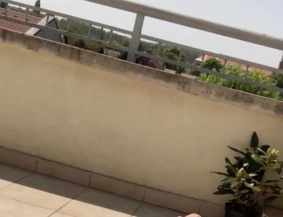 Showing off to the Neighbours ‍