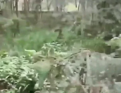 A Worker Passed Through the Park and Received a Blowjob.