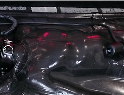 V11 Vv11 [pp Training]