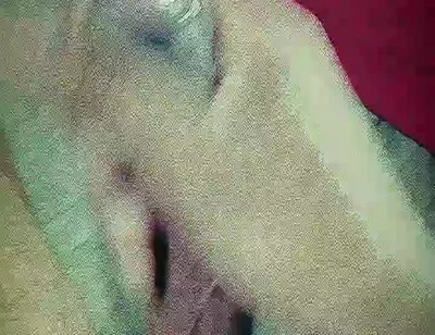 Sensual Amateur Ep. 2 - Solo