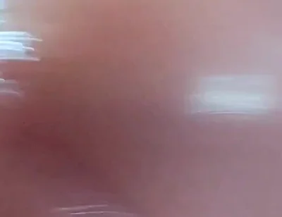 Beautiful Pink Penis Dripping Sweet Nectar.