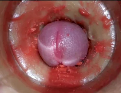 Best Compilation Crempie Pussy - Camera Inside 4K