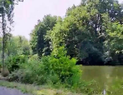 Slutboyben Cam4 Mega Sexy Public Exhibitionist Pig