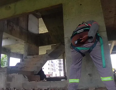 I Took a Toy to Work and Look What I Did