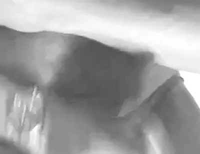 Black & White Black Muscle Daddy Edging and Cum