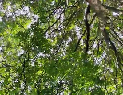 Slutboyben Cam4 Sexy Cruising Chick Iii Live Outdoor Exposure