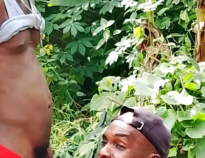 Big Cock Sucker