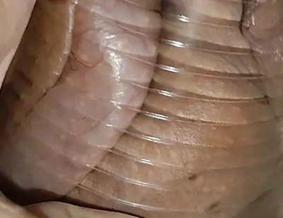 Daddy Extreme Pressure on the Caged, Wounded Cock.