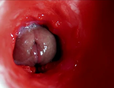 A Big Beautiful Cock Flows Abundantly Inside a Wet Slippery Hole and Smacks!