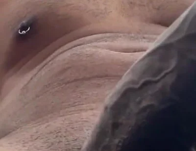Cock Lovers. POV