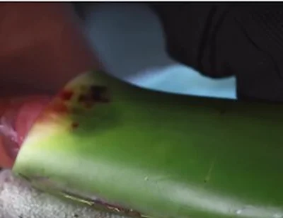 Jerking Off With Aloe Vera Ultil I Nut A Thick Load