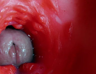 Super Quality Squelchy Wet Hole Asmr Camera Inside