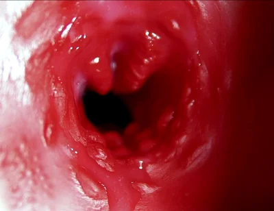 Big Orgasm Inside the Anus! Fantastic Moaning Orgasm and a Lot of Sperm!