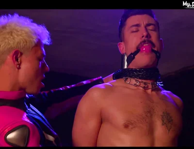 Crazy Sex Video Homosexual Gags Exotic Like In Your Dreams