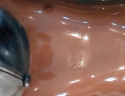 Unit 13 - Vacbed Moanline