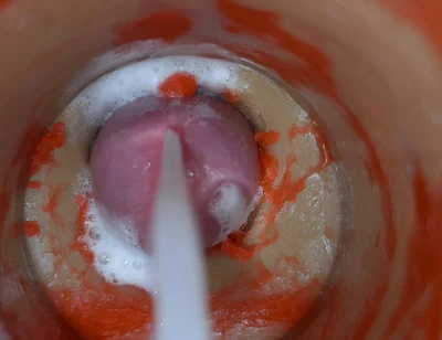 Insemination - Internal Camera Captures Deep Male Ejaculation