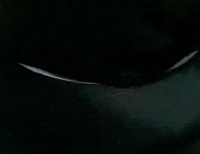 Masturbation Mature Man with Big Cock Part 1