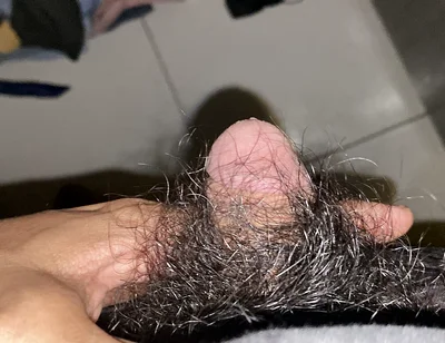 I Masturbate in the Afternoon