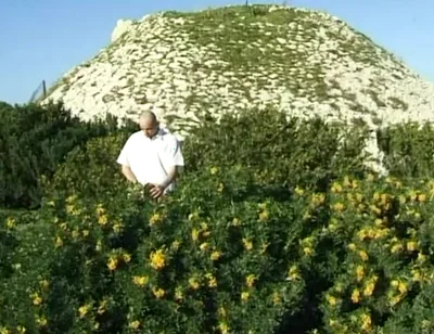 Twink Fucked Down by the Beach