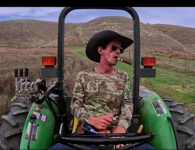 Do You Like the Color Grading?