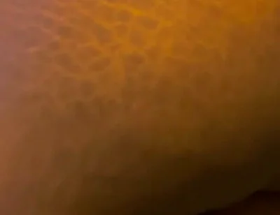Big Black Ass