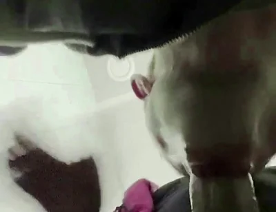 The Teacher's Thick Sucks in a Public Toilet. Slaps for a Student